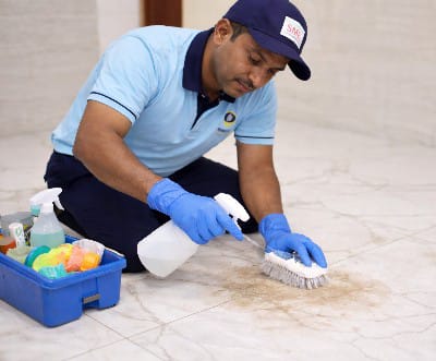 Stain Removal & Surface Treatment